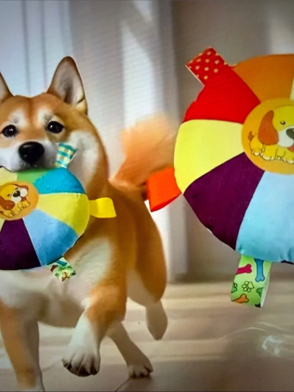 ❣️5/$25❣️ Plush Multi-Color Dog Tug Toy - Soft Squeaky Play Ball